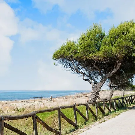 Modern Flat In A With Pool דירה ביביונה